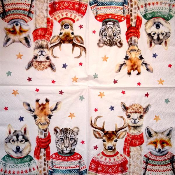 051 Animals Autumn - 3-ply (51)
